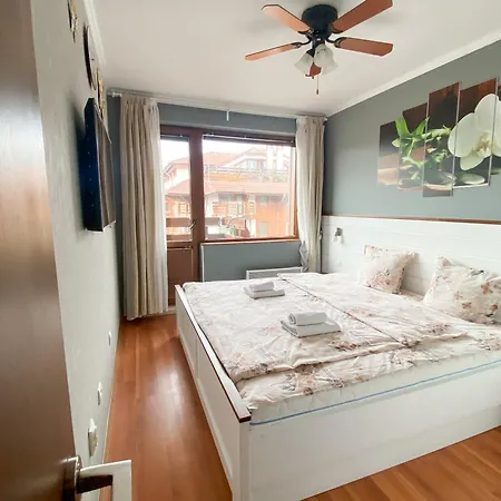 Belvedere Club H70 班斯科