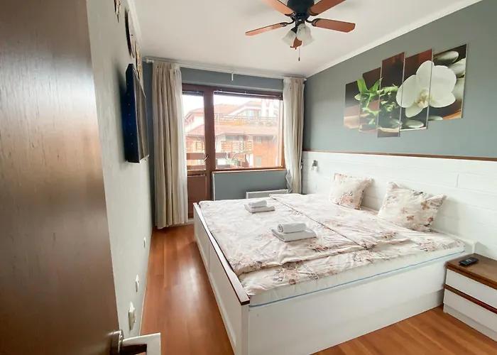 Belvedere Club H70 班斯科